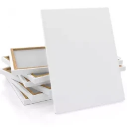 White Canvas (24x24 inch) - 1 Pcs