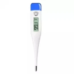 Digital Thermometer