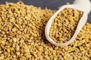 Fenugreek Seed -Methi মেথি - 500gm