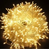 Decorative Fairy Lights - 33 Feet