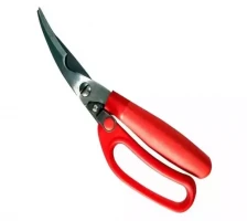 BBQ Chicken Grill Cutting Tools - Multi Color