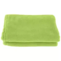 Microfiber Polyester Winter Blanket