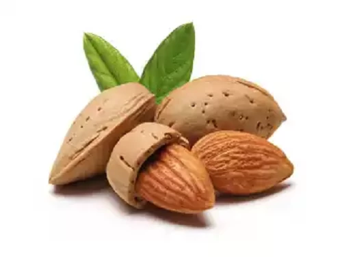 Almonds Nuts Kat Badam কাঠ বাদাম 500 gm