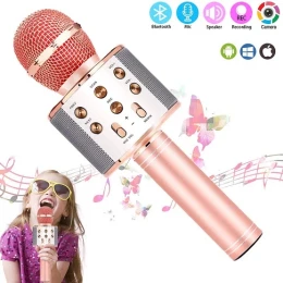 Wireless Karaoke Microphone ws 858