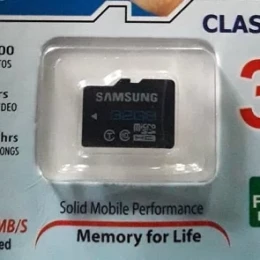 Samsung 32 GB Class 10 (micro SD) Memory Card