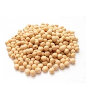 Soybean seeds 250 gm
