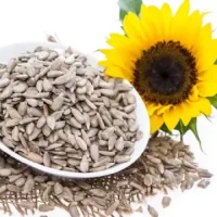 Sunflower Seeds- 100 gm