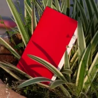 Pocket Book Red Notebook