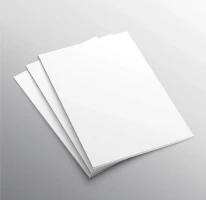 Papertree Certificate paper (350gsm A4) - 10 Pcs