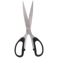 Scissors(Assorted) E6010