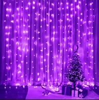 Fairy Decorative lights- Purple