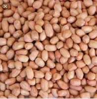 Raw Peanuts চিনাবাদাম - 1 kg