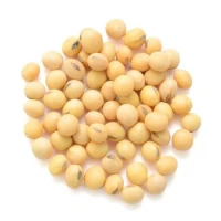 Soybean seeds 1 kg