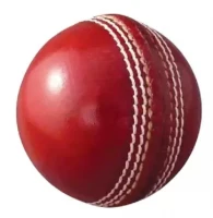 Test Cricket Leather Ball
