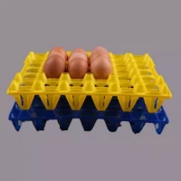 1 PCS Plastic Moulding tray and egg box- Multicolour