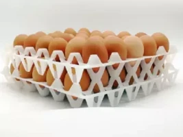 1 PCS 20holes cheap plastic egg tray- Multicolour