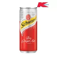 Dry Ginger Ale Can 330ML